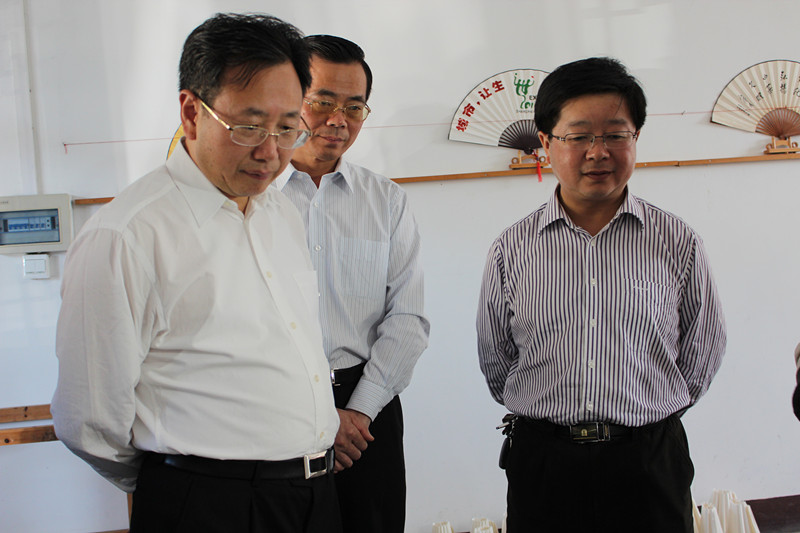 省委常委、副省长陈树隆来宣纸文化园参观指导